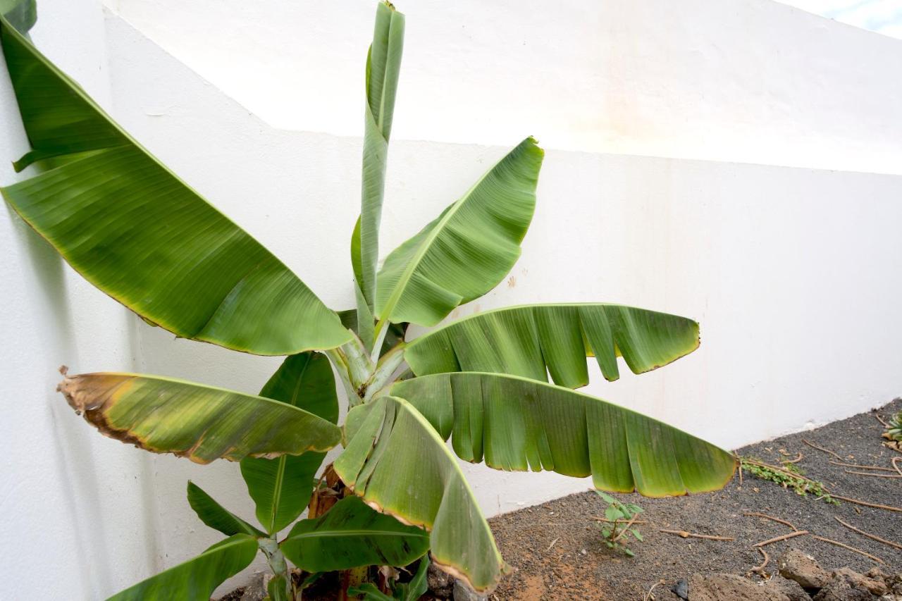 Guatiza Villas Kalendra, Rofe, Lanzarote מראה חיצוני תמונה