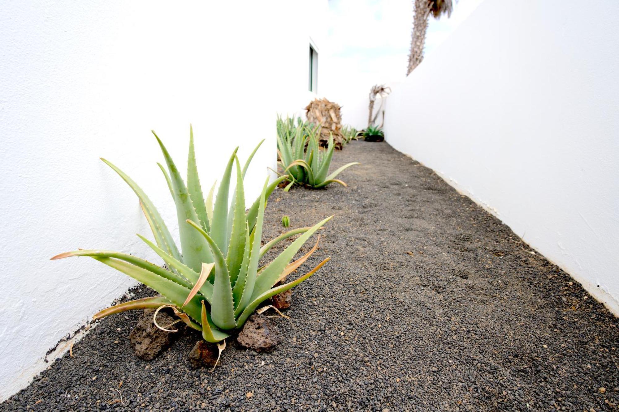 Guatiza Villas Kalendra, Rofe, Lanzarote מראה חיצוני תמונה