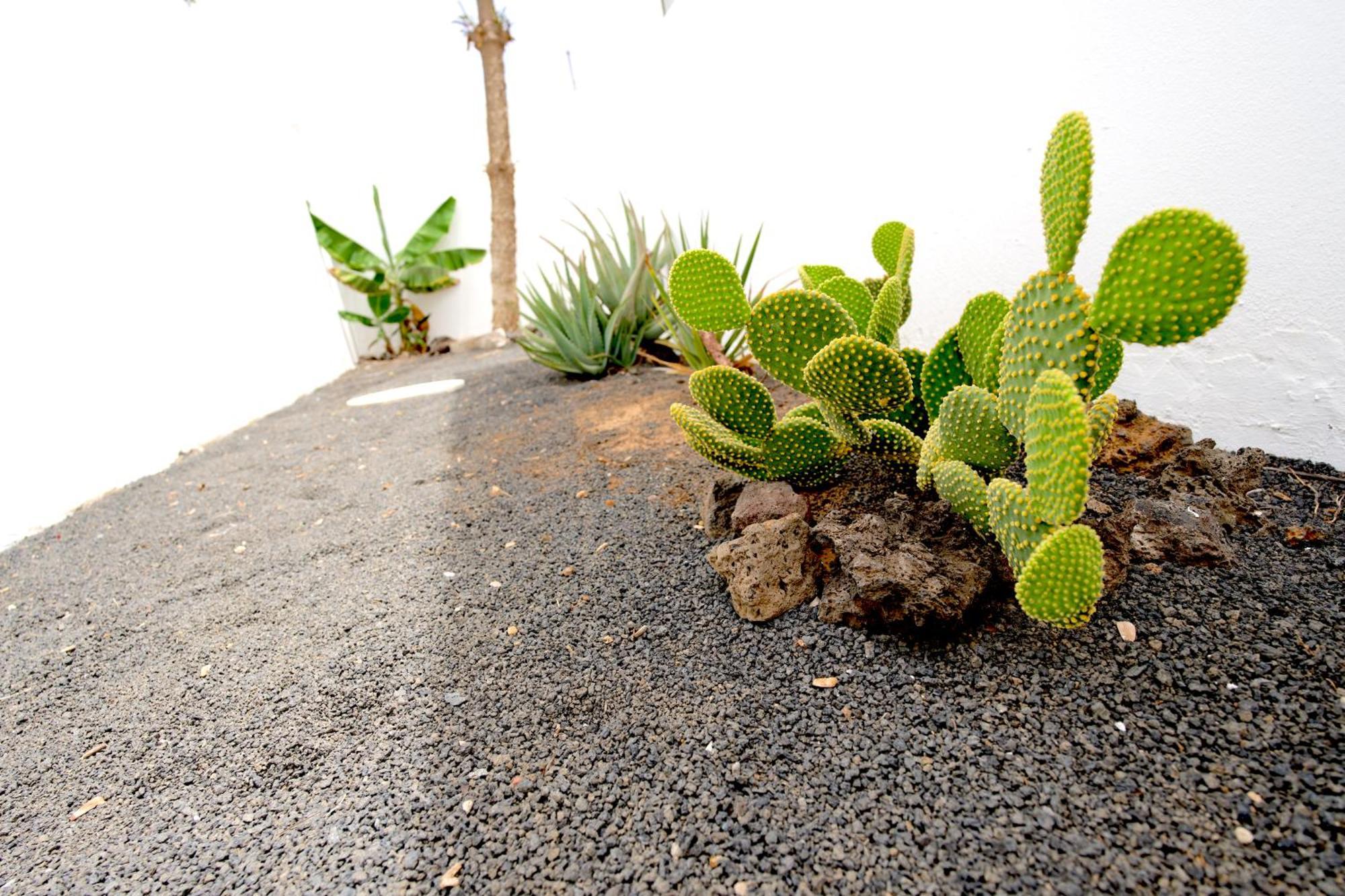 Guatiza Villas Kalendra, Rofe, Lanzarote מראה חיצוני תמונה